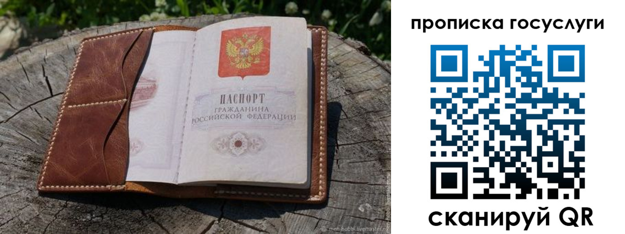 прописка для школы в Вытегре